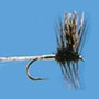 Alder